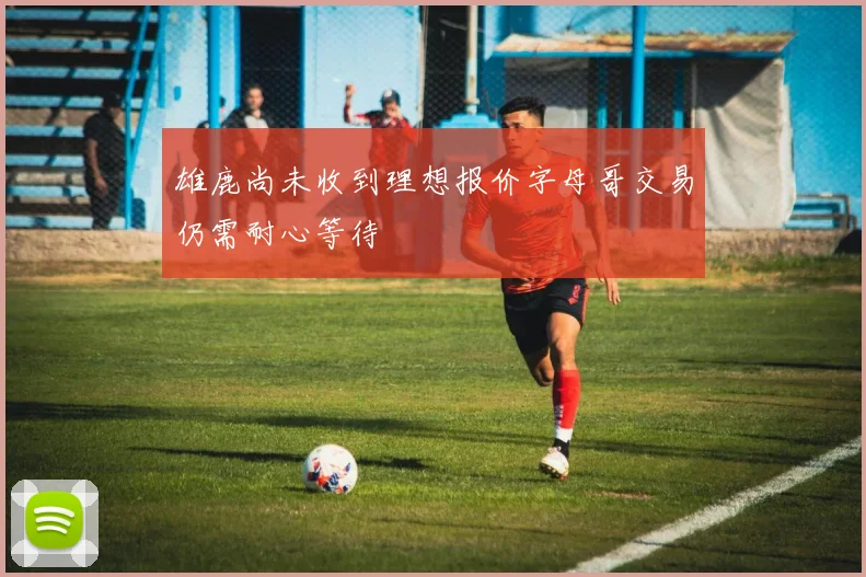 雄鹿尚未收到理想报价字母哥交易仍需耐心等待