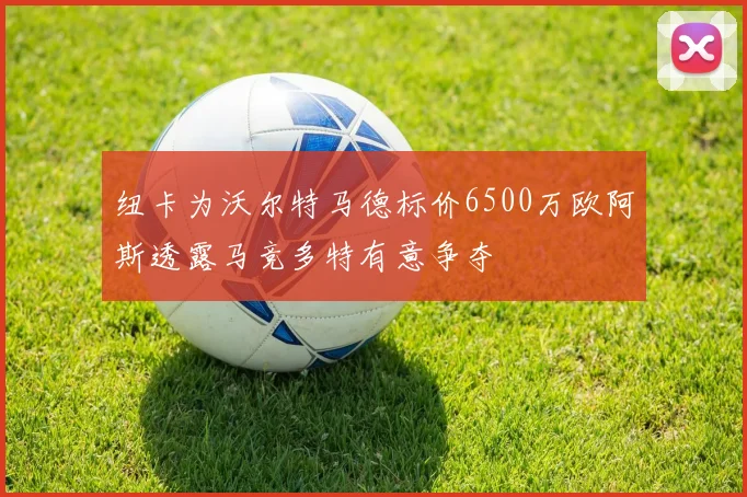 纽卡为沃尔特马德标价6500万欧阿斯透露马竞多特有意争夺